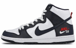 Кроссовки Nike Dunk Sb Future Court Obsidian