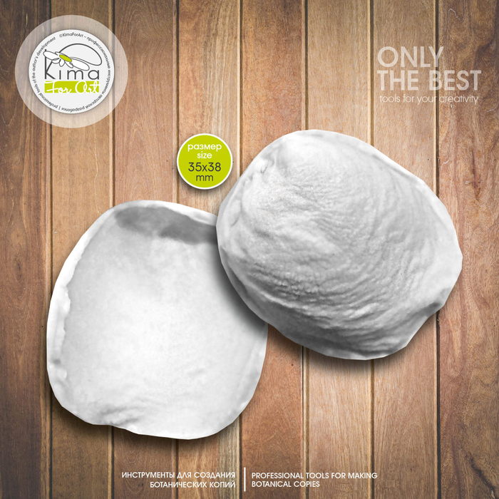 Роза лепесток увядший