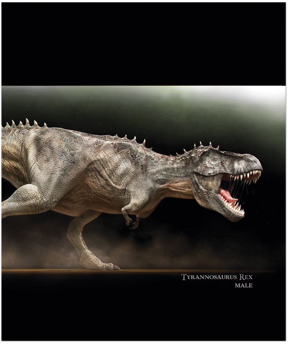 Тетрадь общая 48 листов на скрепке "Динозавры"