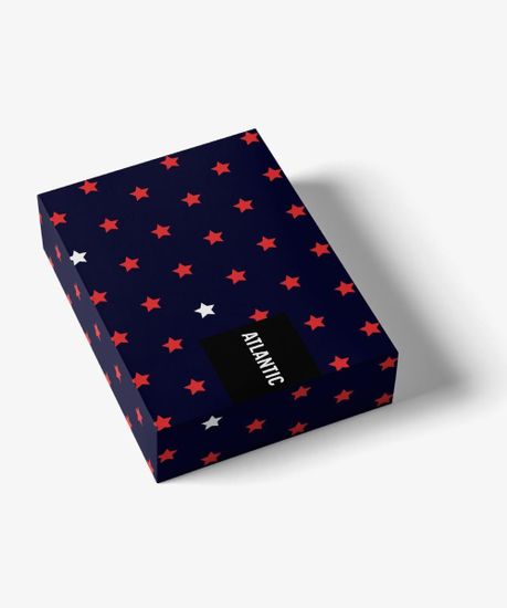 Трусы мужские боксеры (2шт), Atlantic 2GMH-015, темно-синий+темно-синий