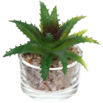 Цветок искусственный «Суккулент» 6*6см в стеклянном горшке