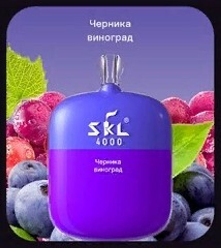 SKL 4000 Черника виноград купить в Москве с доставкой по России