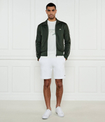 Худые Lacoste - оливковый(SH1457)