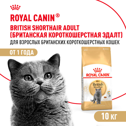 Сухой корм Royal Canin British Shorthair Adult для взрослых британских короткошерстных кошек 10кг