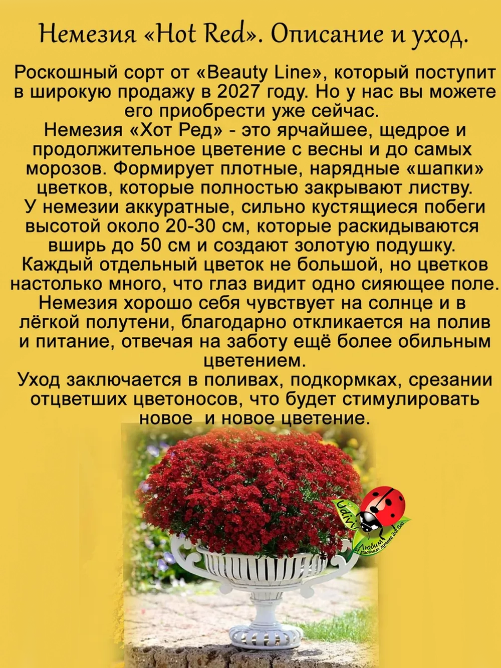 Немезия Хот Ред вегетативная