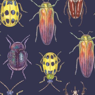 Разноцветные жуки на синем фоне