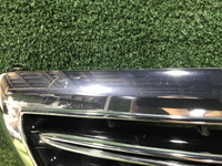 Решетка радиатора Mercedes S W222 (2017-2020)