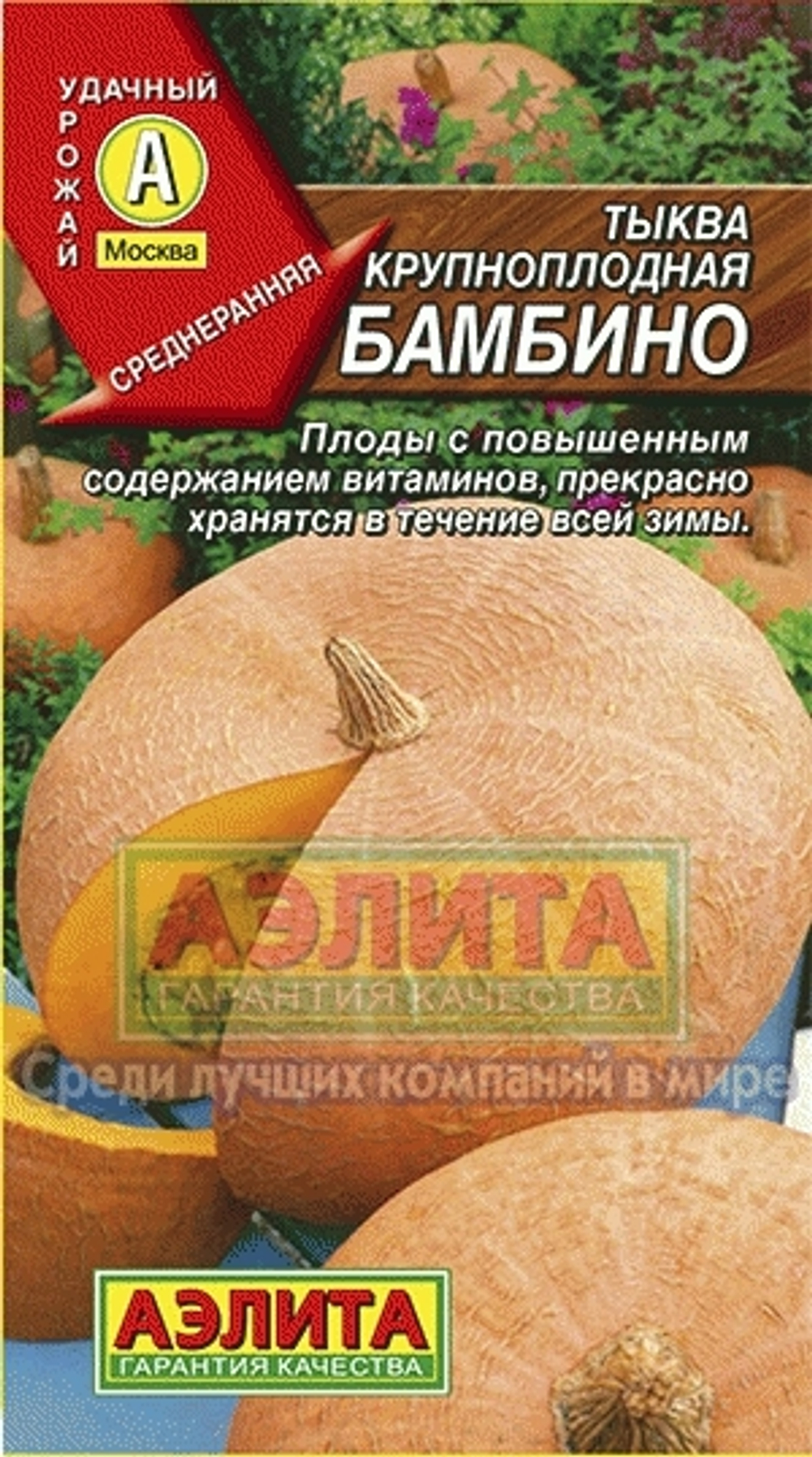 Тыква Бамбино крупноплодная Аэлита