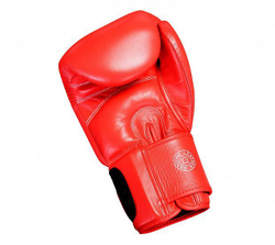 Перчатки боксерские Muay Thai Gloves 300 красно-белые adiTP300