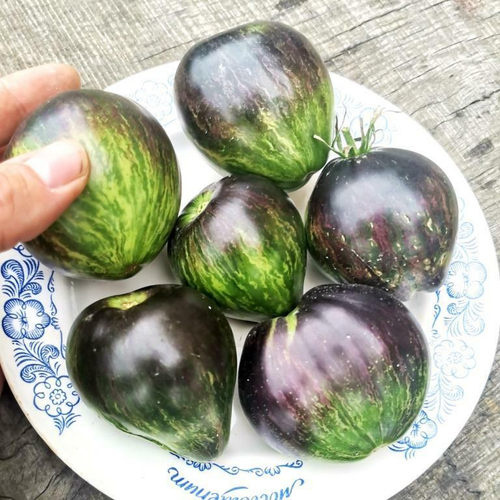 Помидоры Чёрное Сердце Джи Даблъю Ар - GWR  Black Hearts