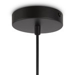 Подвесной светильник Freya FR4313-PL-01-BL