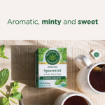 Traditional Medicinals, органическая мята, без кофеина, 16 чайных пакетиков, 24 г (0,85 унции)