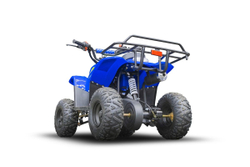 Квадроцикл TIGER 150 Universal RX