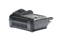 Зарядное устройство быстрое SENIX CHQX2-M-EU, X2 20V, 6A