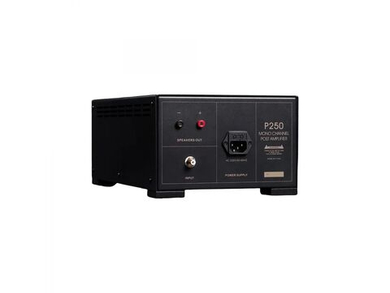 Усилитель для акустики Spotless Audio P250 Monoblock 2 шт