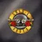 Guns N Roses - Greatest Hits LP
