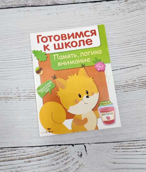 Набор книг Готовимся к школе, 5 шт
