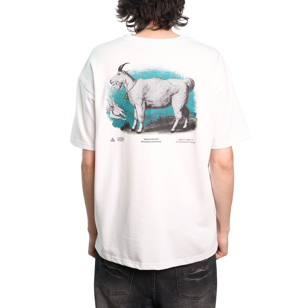 Nike ACG Dri-Fit T-Shirt "GOAT"