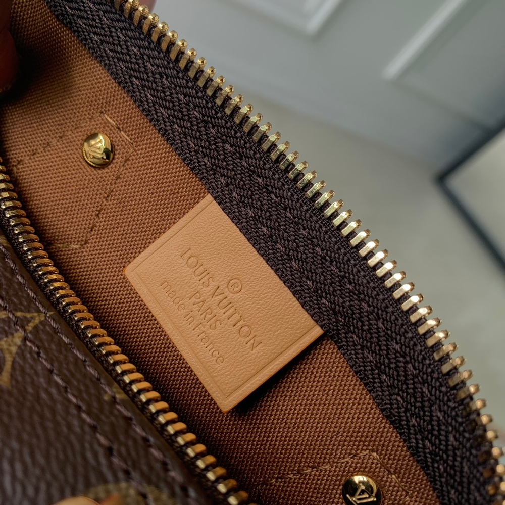 Louis Vuitton Speedy 20