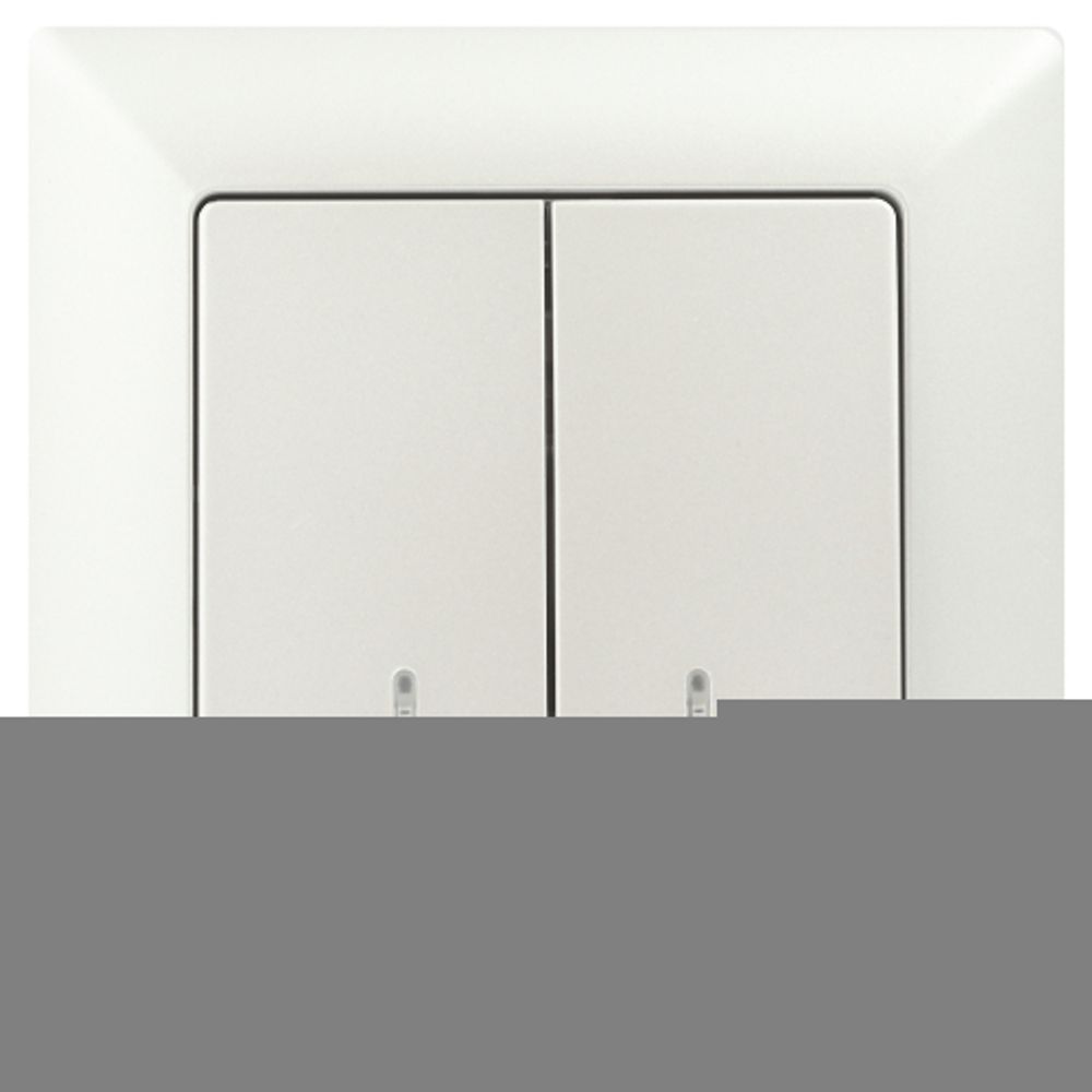 Выключатель Intro Solo 4-105-06 двухклавишный с подсветкой, 10А-250В, IP20, СУ, перламутр