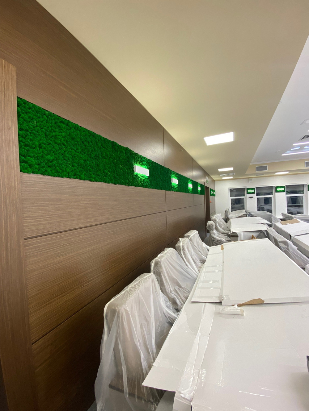 Вертикальное озеленение стабилизированным мхом зала заседания Дома Правительства Республики Адыгея