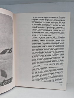 Мир животных. Рассказы о птицах