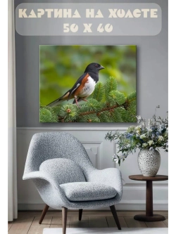 Картина на стену 40 X 50 Птица