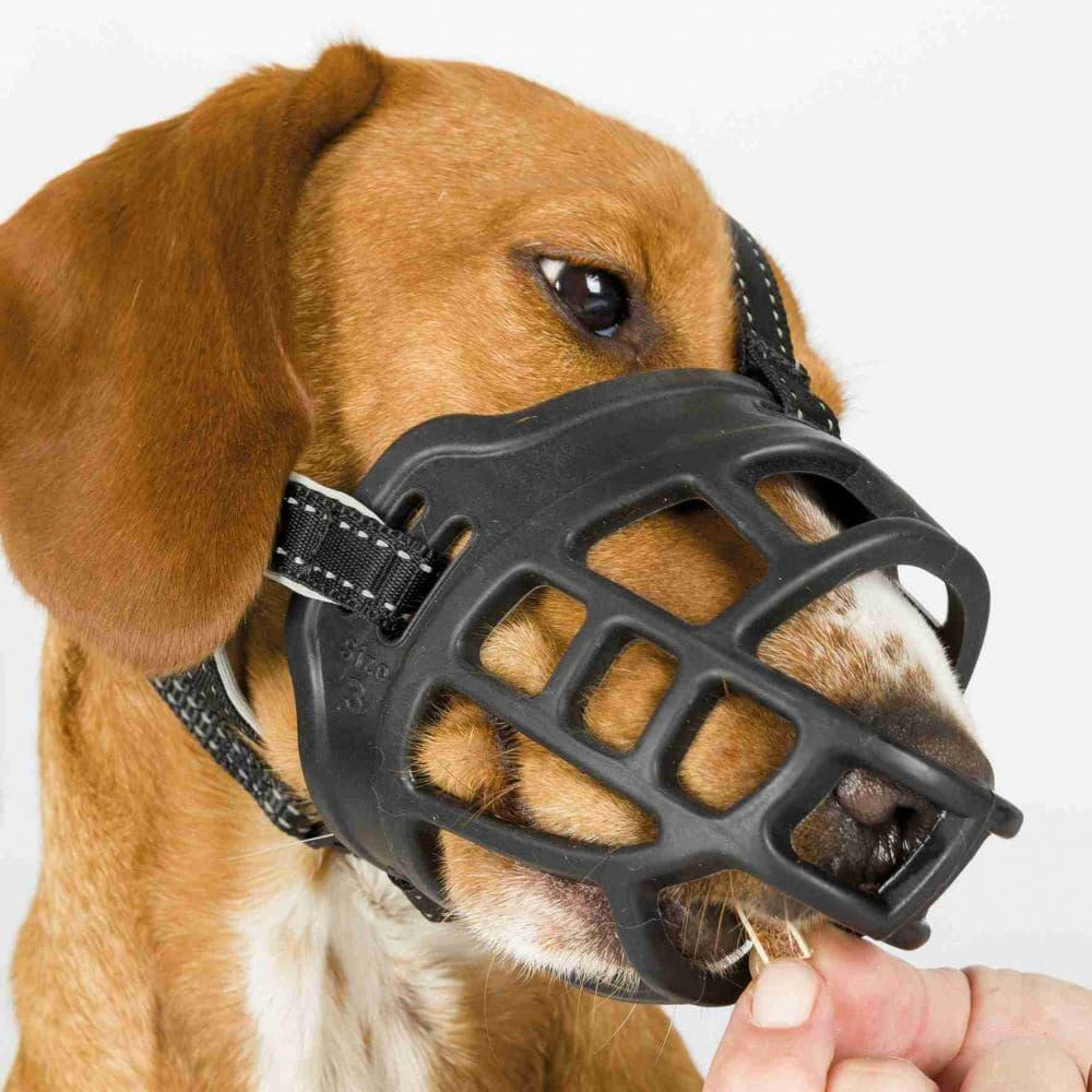 Намордник Muzzle Flex, резина, M (25 см, длина лобного ремня до 19 см), чёрный, Trixie