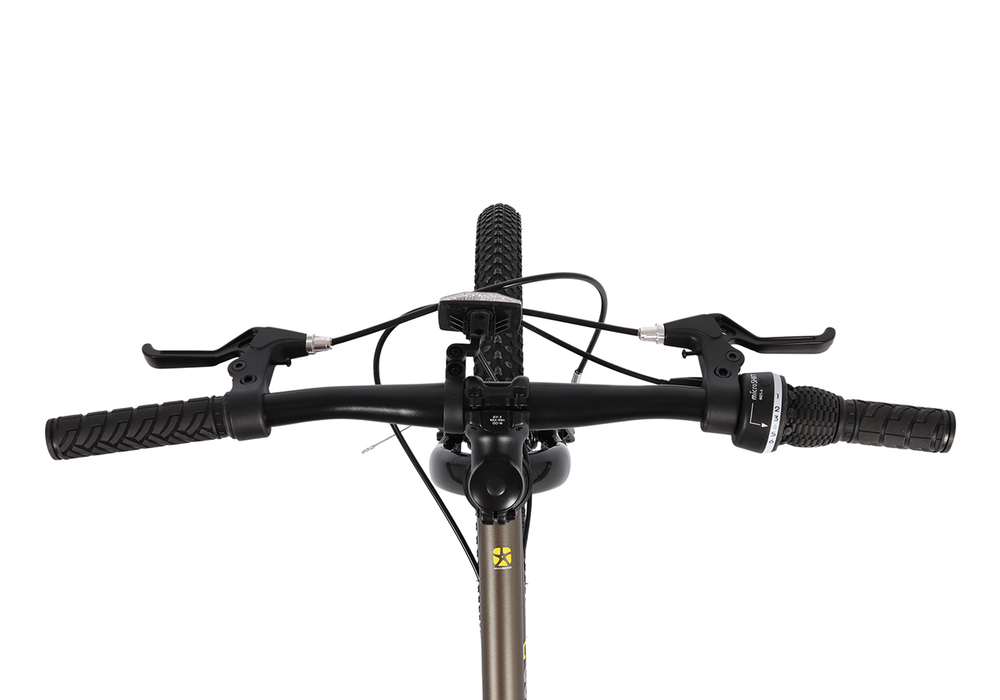 Велосипед 20'' Maxiscoo 3BIKE M Коричневый Матовый (2026)