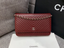 Chane1 WOC 19 cm