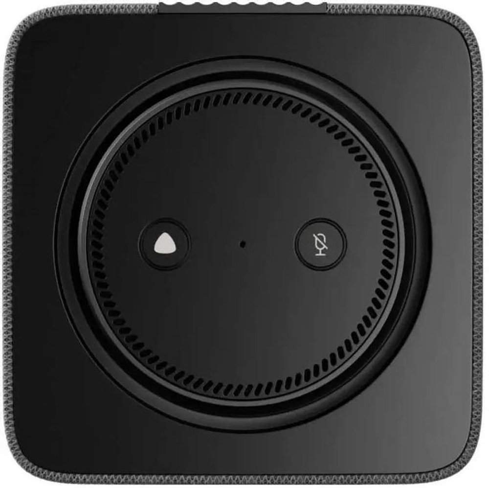 Умная колонка ЯНДЕКС Станция Макс Zigbee, 65Вт, с Алисой, графитовый [yndx-00053k]