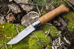 Opinel №8, нержавеющая сталь, рукоять из оливкового дерева в картонной коробке