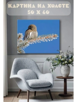 Картина на стену 40 X 50 Сова