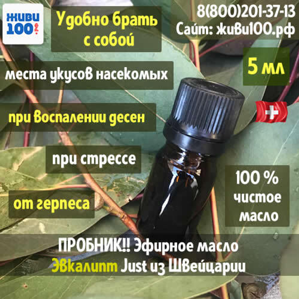 Пробник! Эфирное масло Эвкалипта Юст Eucalyptus Just 5 мл