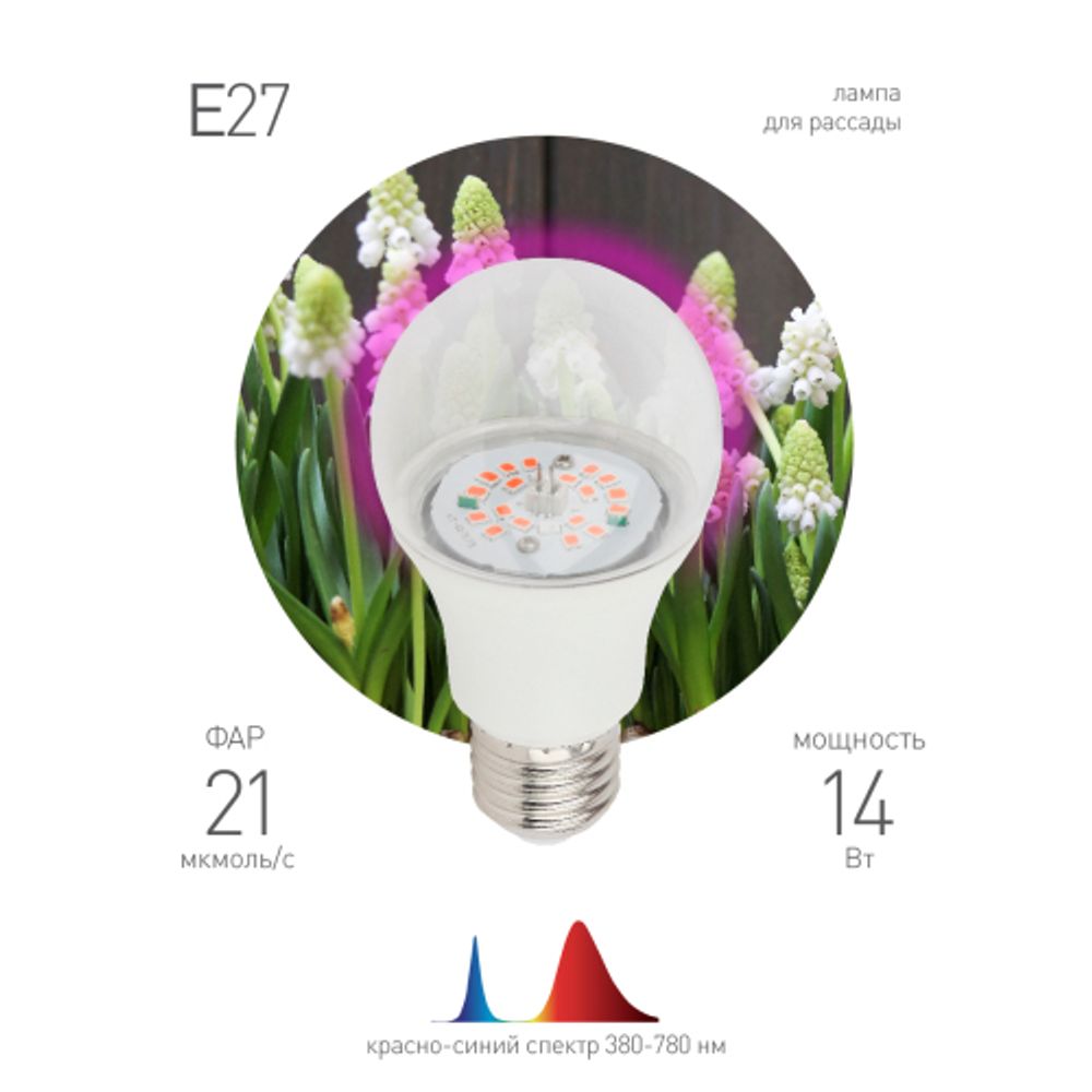 Фитолампа для растений светодиодная ЭРА FITO-14W-RB-E27-K красно-синего спектра 14 Вт Е27