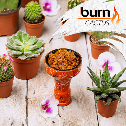 Burn - Cactus (200г)