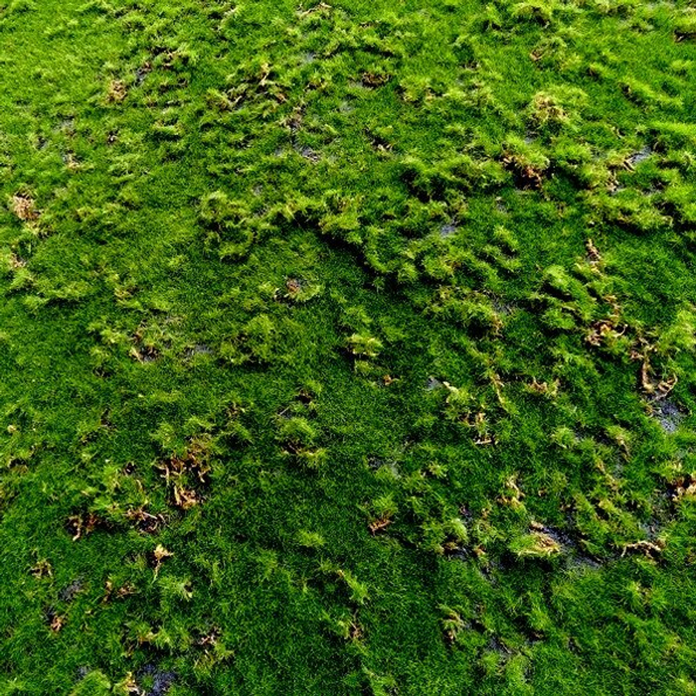 Мох искусственный "Степной" дизайн 10, ширина 1,5м, рулон 10м