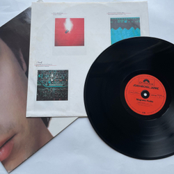 Винтажная виниловая пластинка LP Jean Michel Jarre Magnetic Fields (Германия 1981)