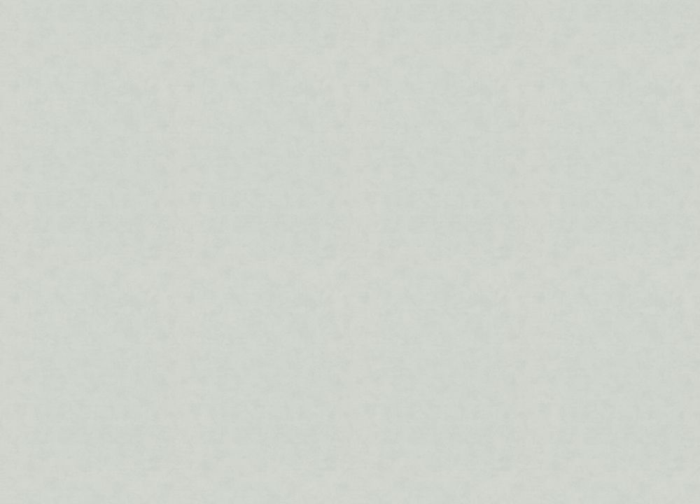 Shades Iconic / Flora