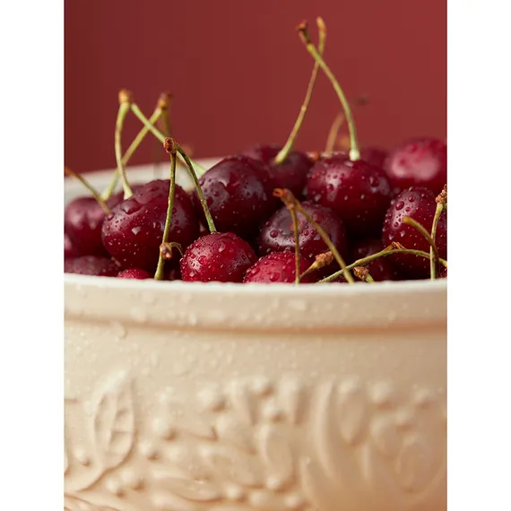 Миска для смешивания birds of paradise, 2,6 л, кремовая