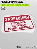 Табличка для частной территории "Запрещено вторгаться, охотиться и рубить деревья", на дом, для участка, организаций и частных территорий, 40х30 см, Silver Plane x Айдентика Технолоджи
