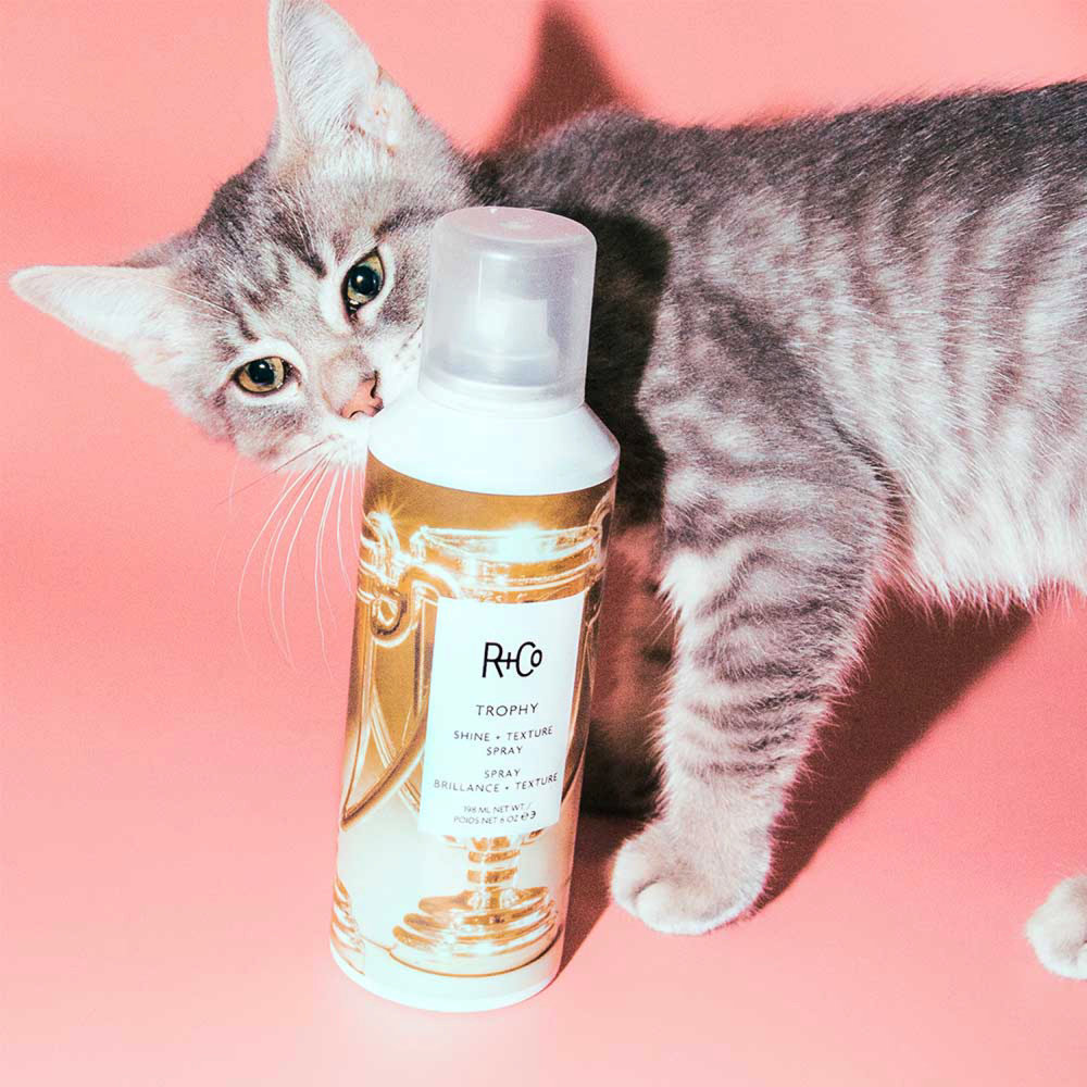R+CO TROPHY Shine+Texture Spray / ТРОФЕЙ спрей для текстуры и блеска, 198 мл