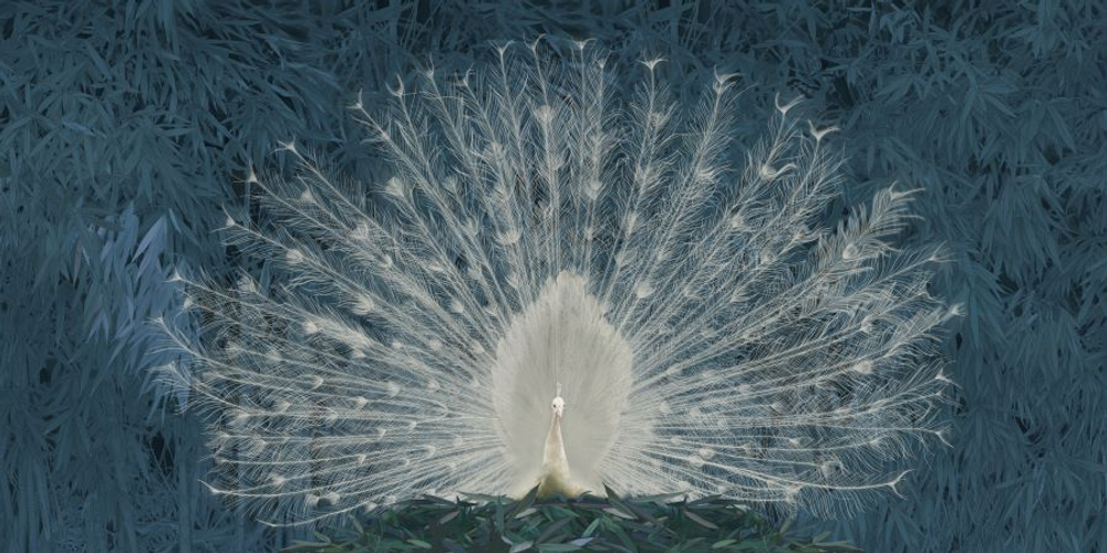 Фреска Applico, коллекция Natura