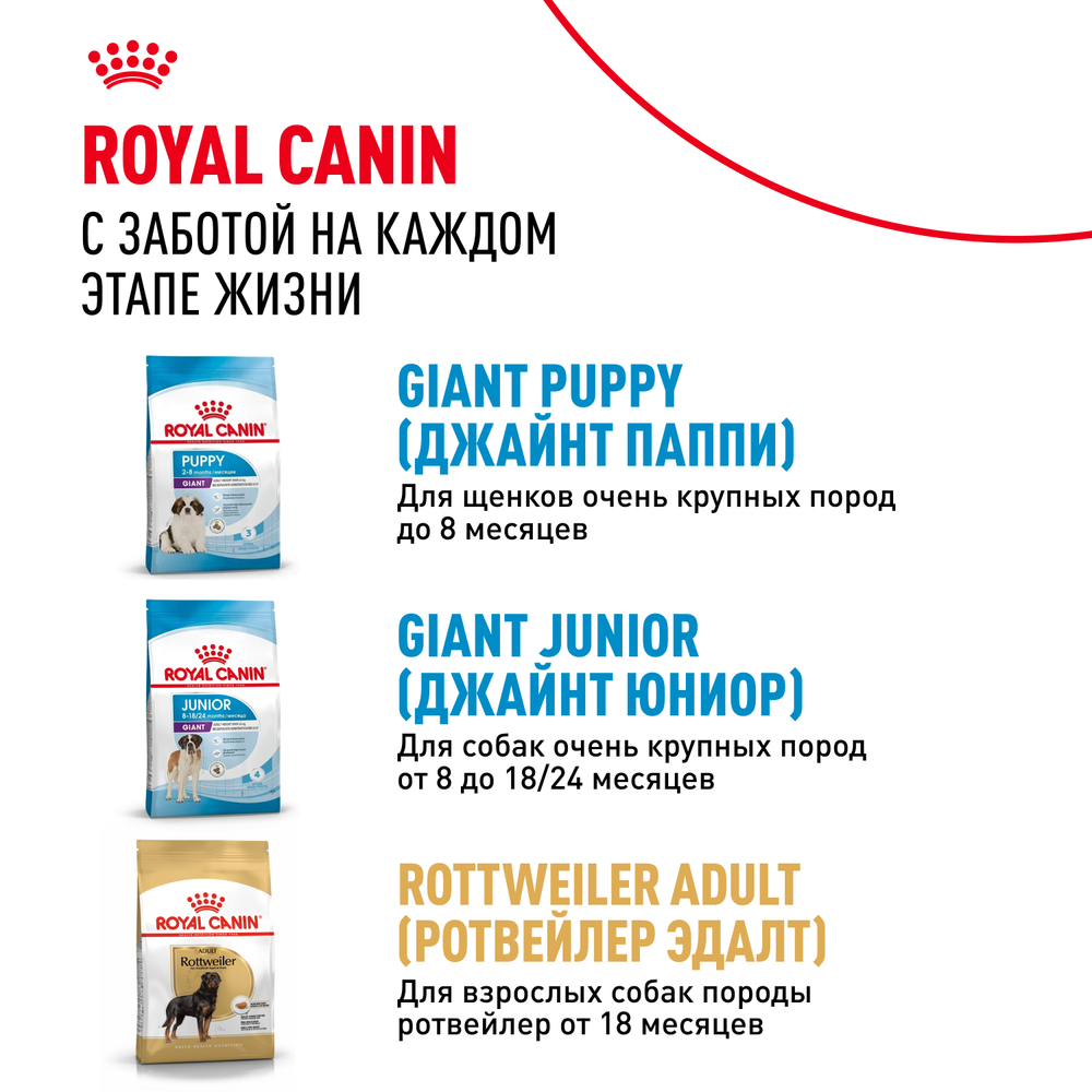 Royal Canin Giant Adult Джайнт Эдалт Корм сухой для взрослых собак очень крупных пород от 18 месяцев 15кг