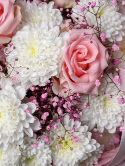 Нежные мечты *