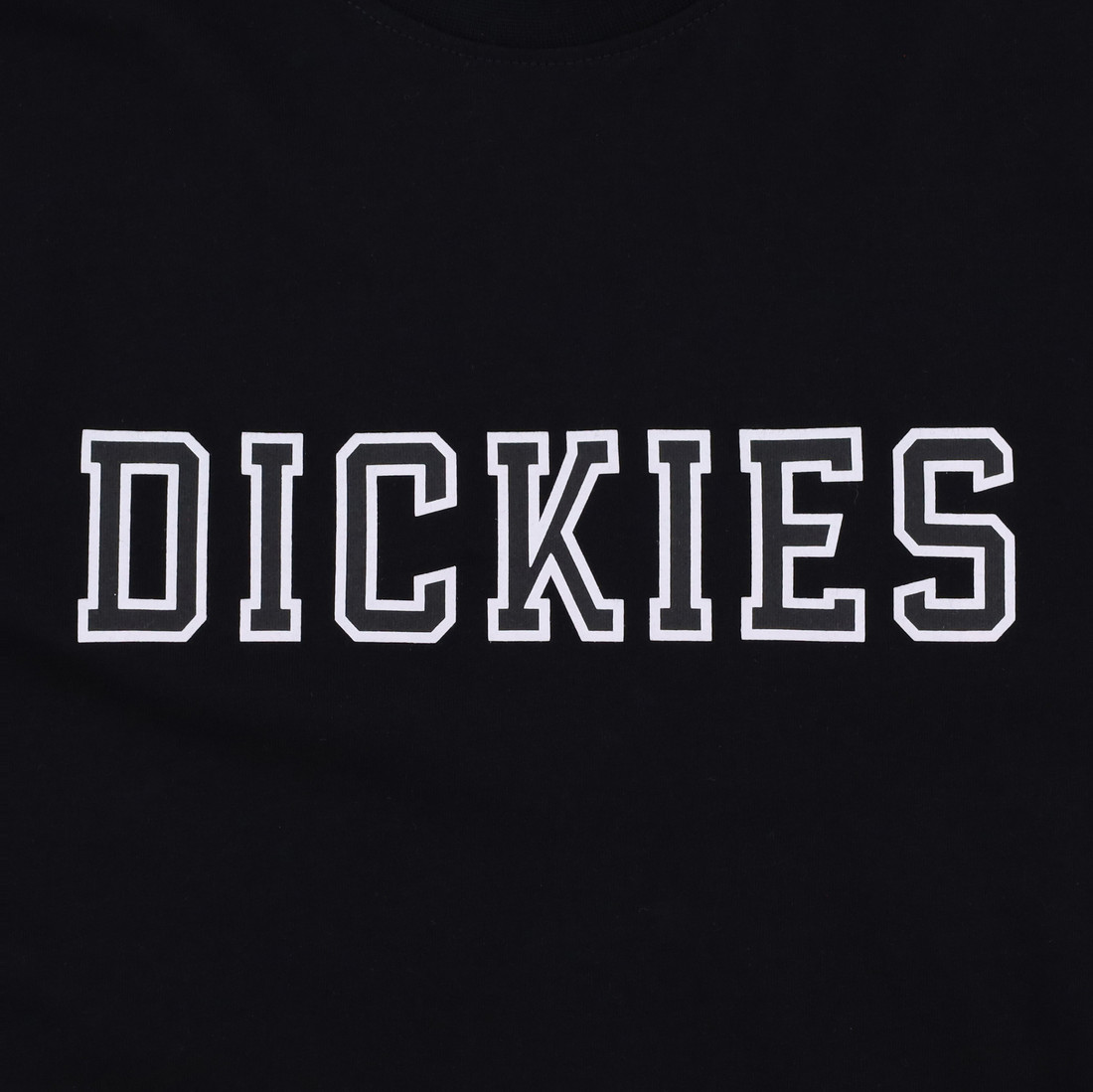 Купить Футболка Dickies Melvern Graphic T-Shirt (black)