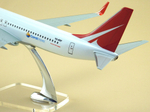 Модель самолета Boeing 737-800 (М1:100, Royal Fligt)