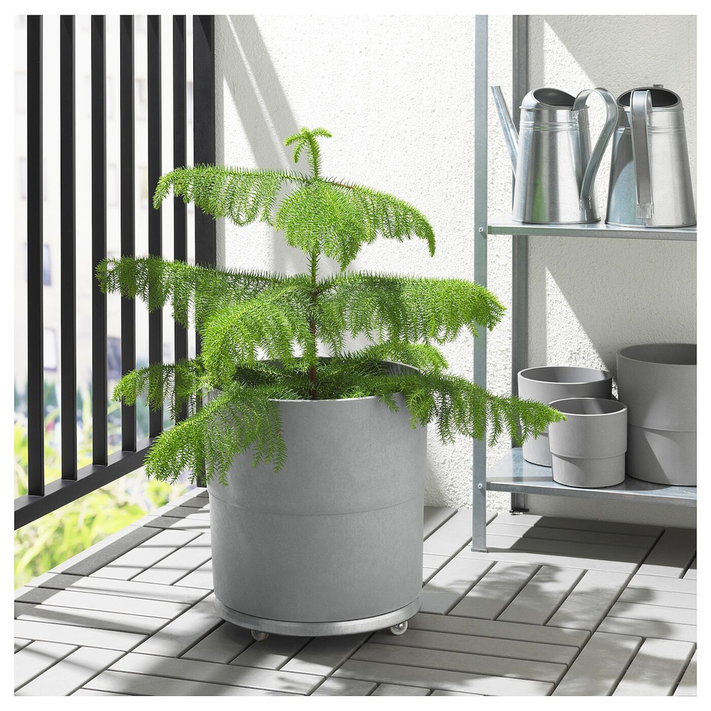 IKEA NYPON  (ИКЕА НЙПОН)  -  Крышка для цветочного горшка, серая, 32 см