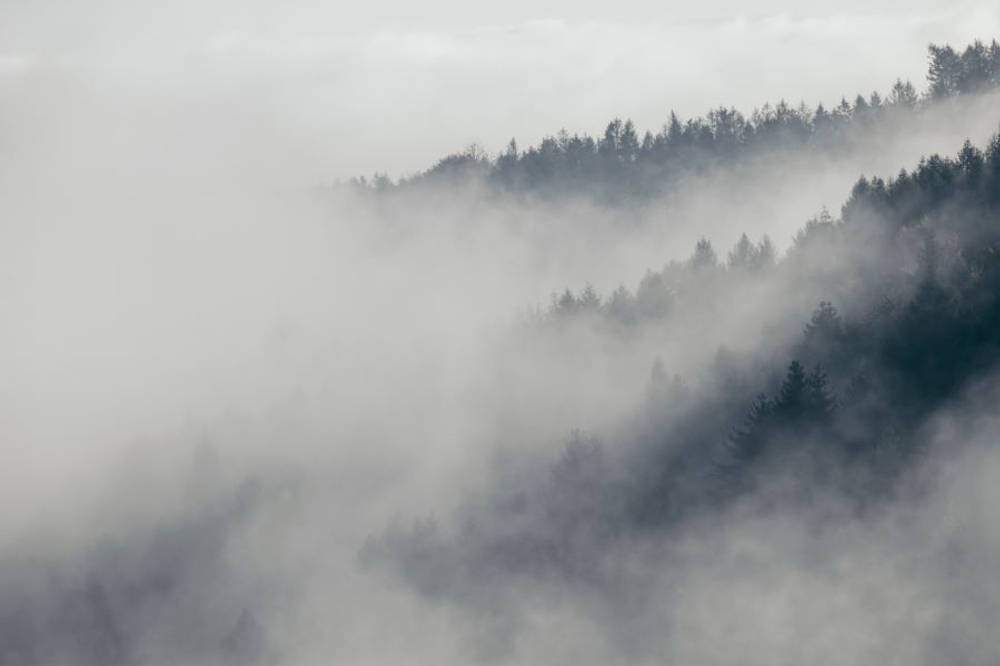 Фреска Applico, коллекция Natura