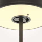 Аккумуляторный светильник Maytoni MOD229TL-L3B3K2